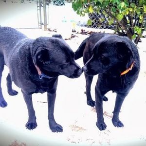 Meet your Posher, Joanna